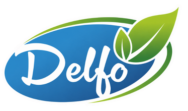 Delfo