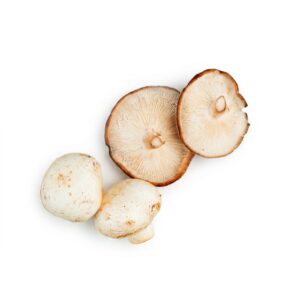 Ganze Steinpilze Extra 200g